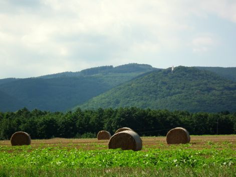 dscf0609.jpg